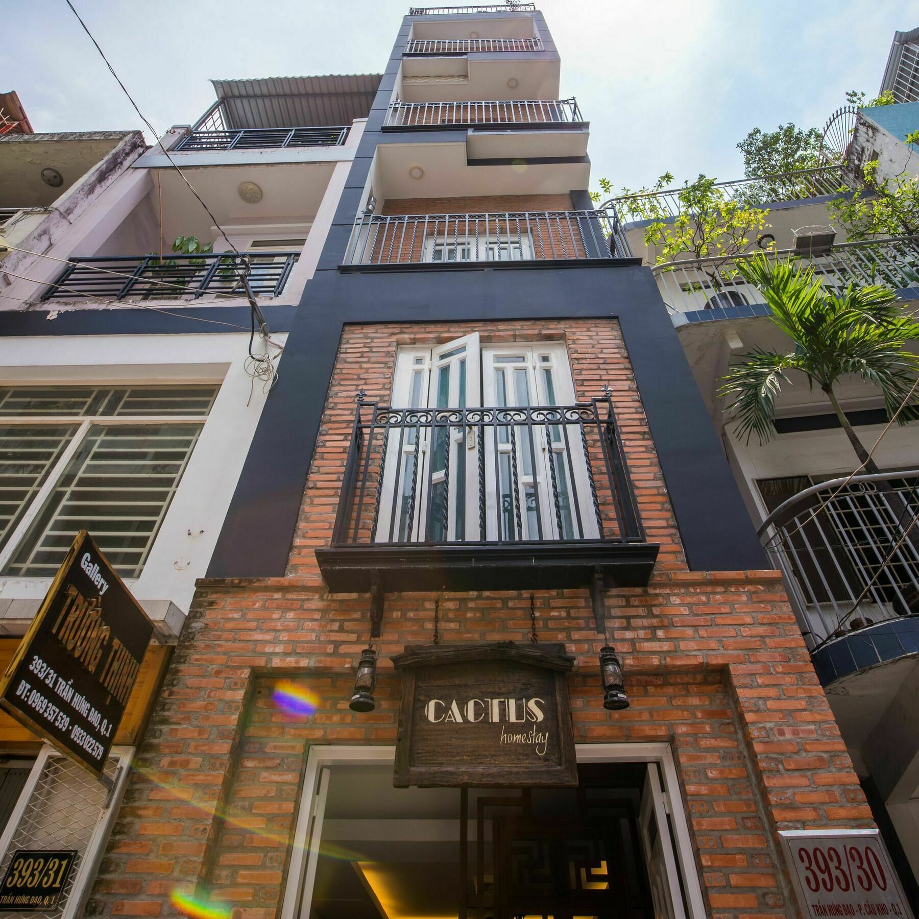 Saigon Cactus